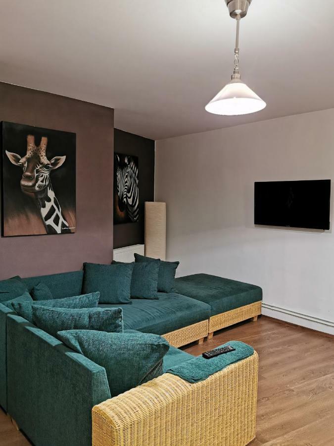 Drumul Poienii Apartment Брашов Экстерьер фото